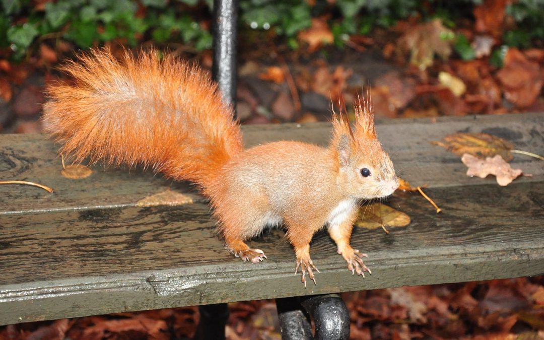 Pengawasan Ketat Agam terhadap WNA Ilegal di Sektor Pariwisata